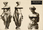 Artist Anatomy – 300+ Female Body Procreate Reference Stamps – preview 2
