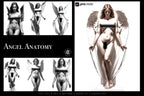 Artist Anatomy – 300+ Female Body Procreate Reference Stamps – preview 3