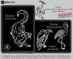 American Traditional Safari – 180+ Procreate Stamps, Tattoo Flash & Animal Designs
