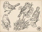 Neo Traditional Birds