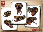 SCALED — Snake Studies for Tattoo Artists