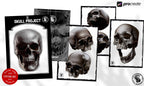 The skull project, 500 custom designs for Procreate
