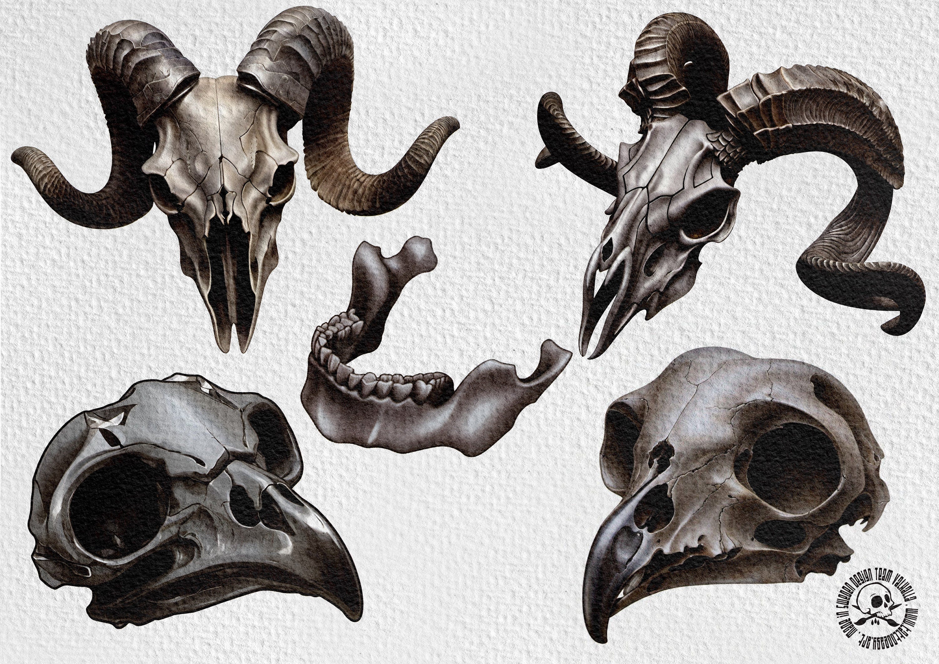 The skull project, 500 custom designs for Procreate