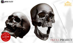 The skull project, 500 custom designs for Procreate
