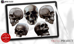 The skull project, 500 custom designs for Procreate