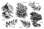 Procreate, landscape design kit, over 200 custom made references for Procreate