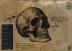 Medieval Ink – 235+ Procreate Brushes