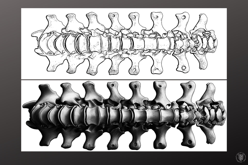 Biomech Design Kit: Procreate Brushes, SVG & PNG Files + Stencils