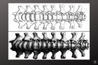Biomech Design Kit: Procreate Brushes, SVG & PNG Files + Stencils