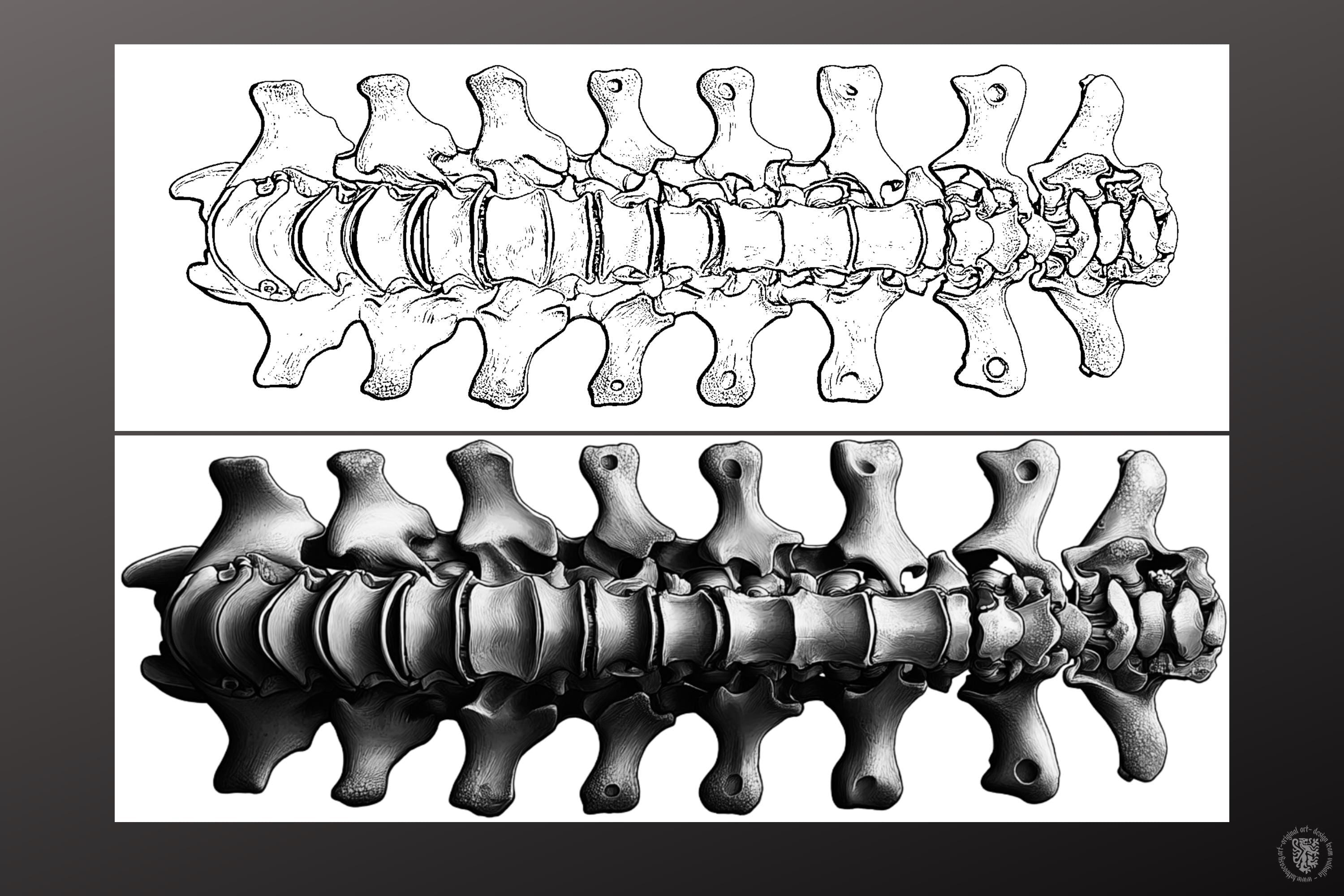 Biomech Design Kit: Procreate Brushes, SVG & PNG Files + Stencils