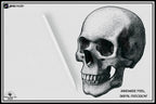 Procreate Stipple Brushes: 62 Custom Tattoo Shaders (Digital Download)