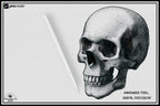 Stipple Studio – 60 Procreate Brushes