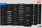 Procreate, stick n poke ~ 100% custom made brushes, designs, canvas & palettes