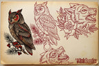 Neo-Traditional vol.1, Procreate creative design kit & custom art! 600+
