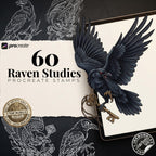 Raven Procreate Brushes, Bird Tattoo Stencils, 60+ Stamps Digital Download