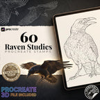 Raven Procreate Brushes, Bird Tattoo Stencils, 60+ Stamps Digital Download