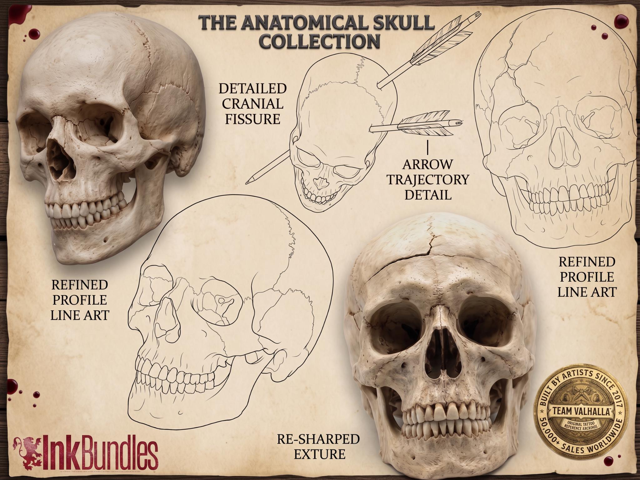 The skull project, 500 custom designs for Procreate