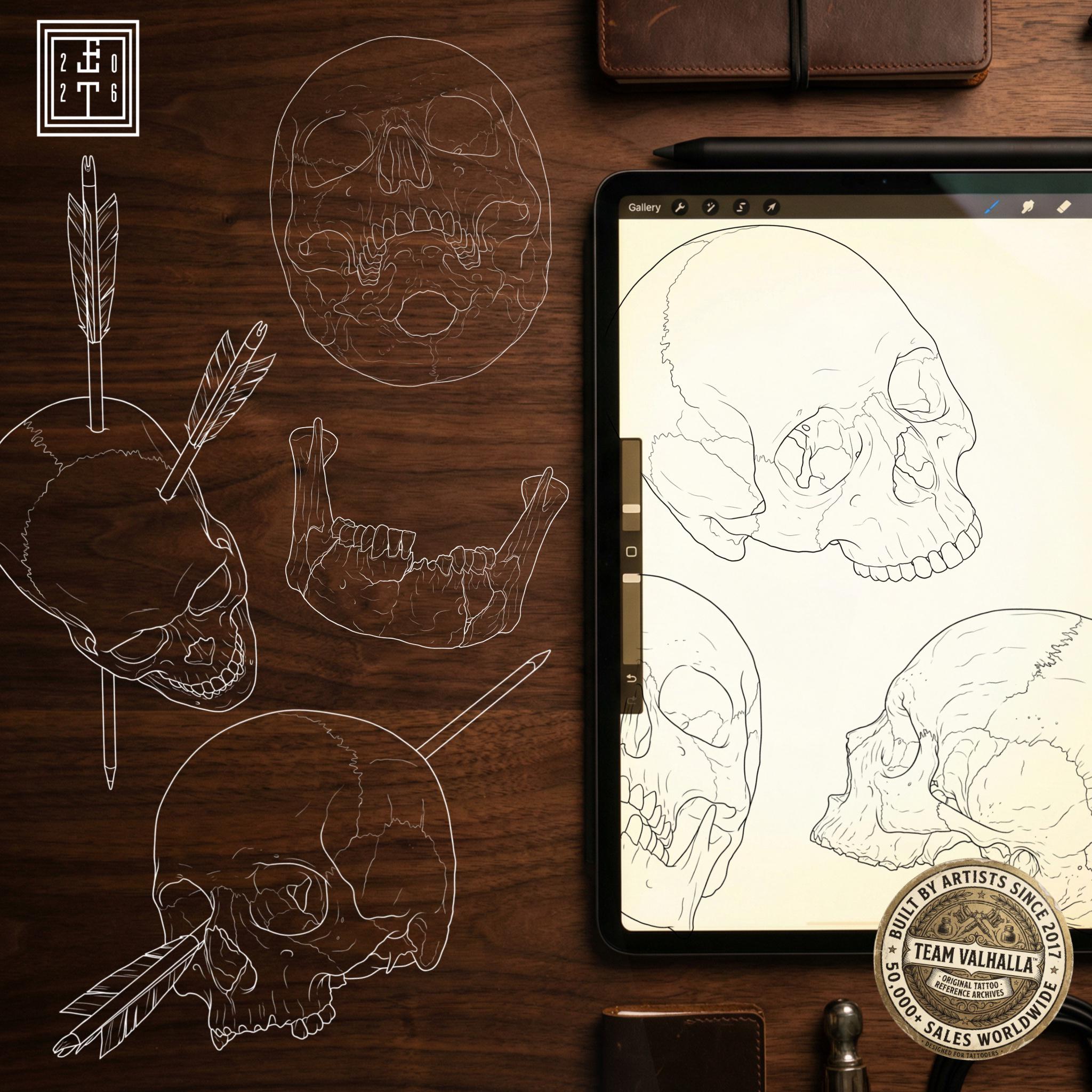 Procreate Skulls, Realistic skull references, stencil collection
