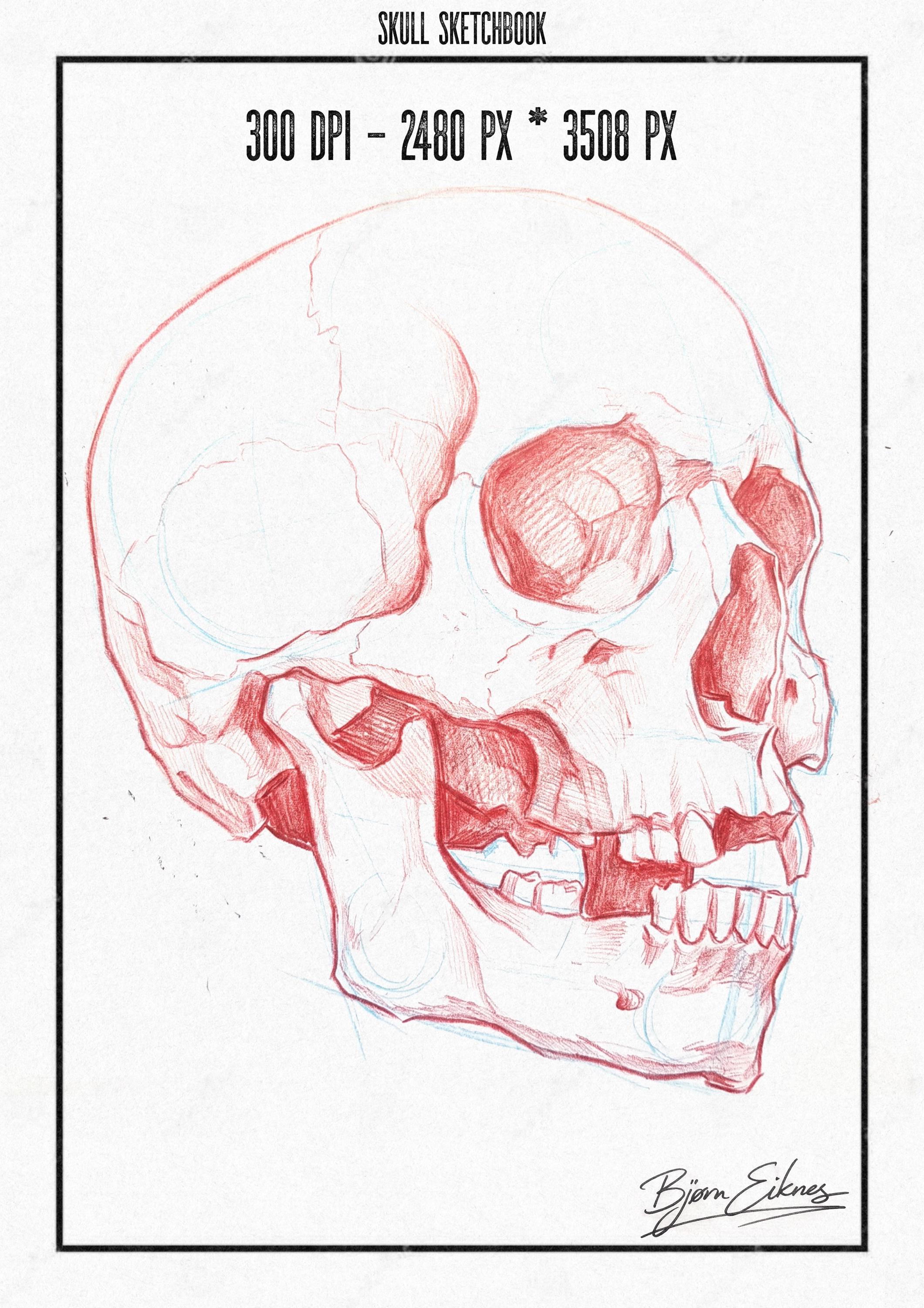Tattoo Sketch Book PDF, High-Res Flash Art, Digital Tattoo eBook, Skull Sketchbook