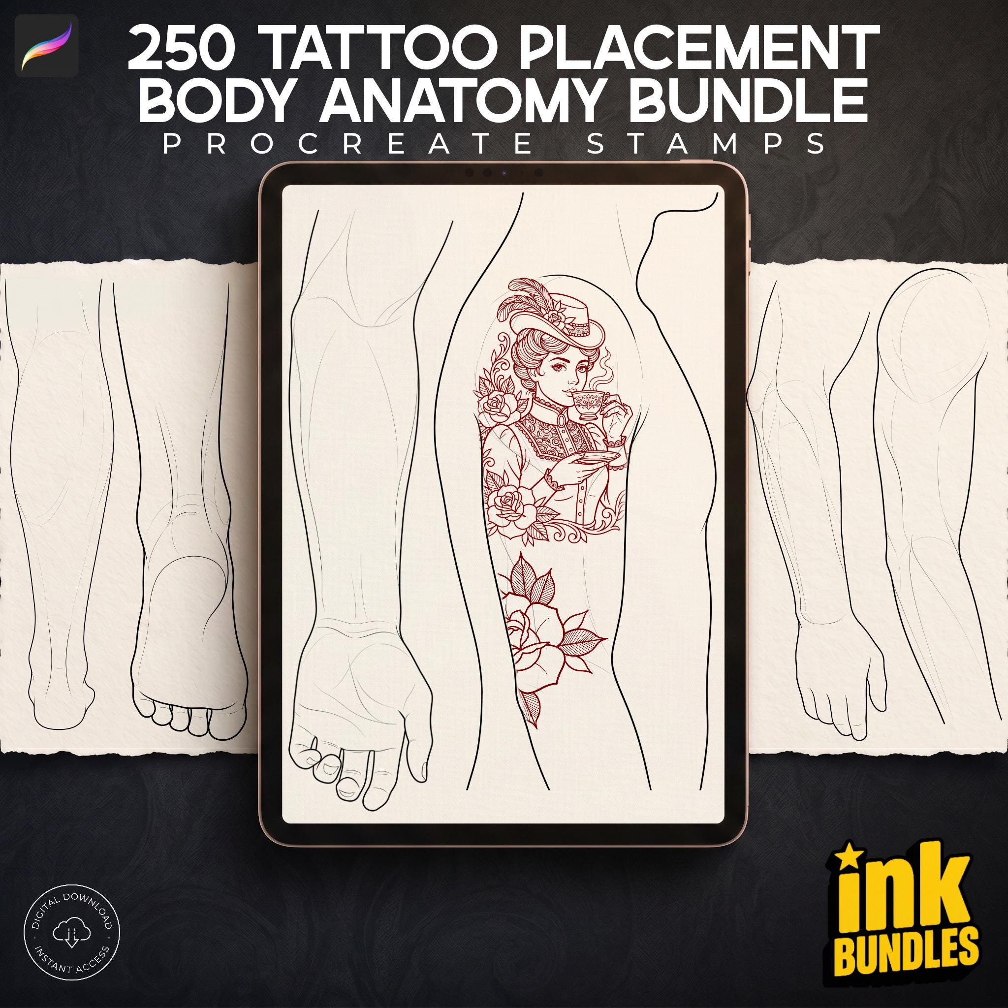 Procreate Tattoo Stamps: 145 Body Part Brushes for Tattoo Design
