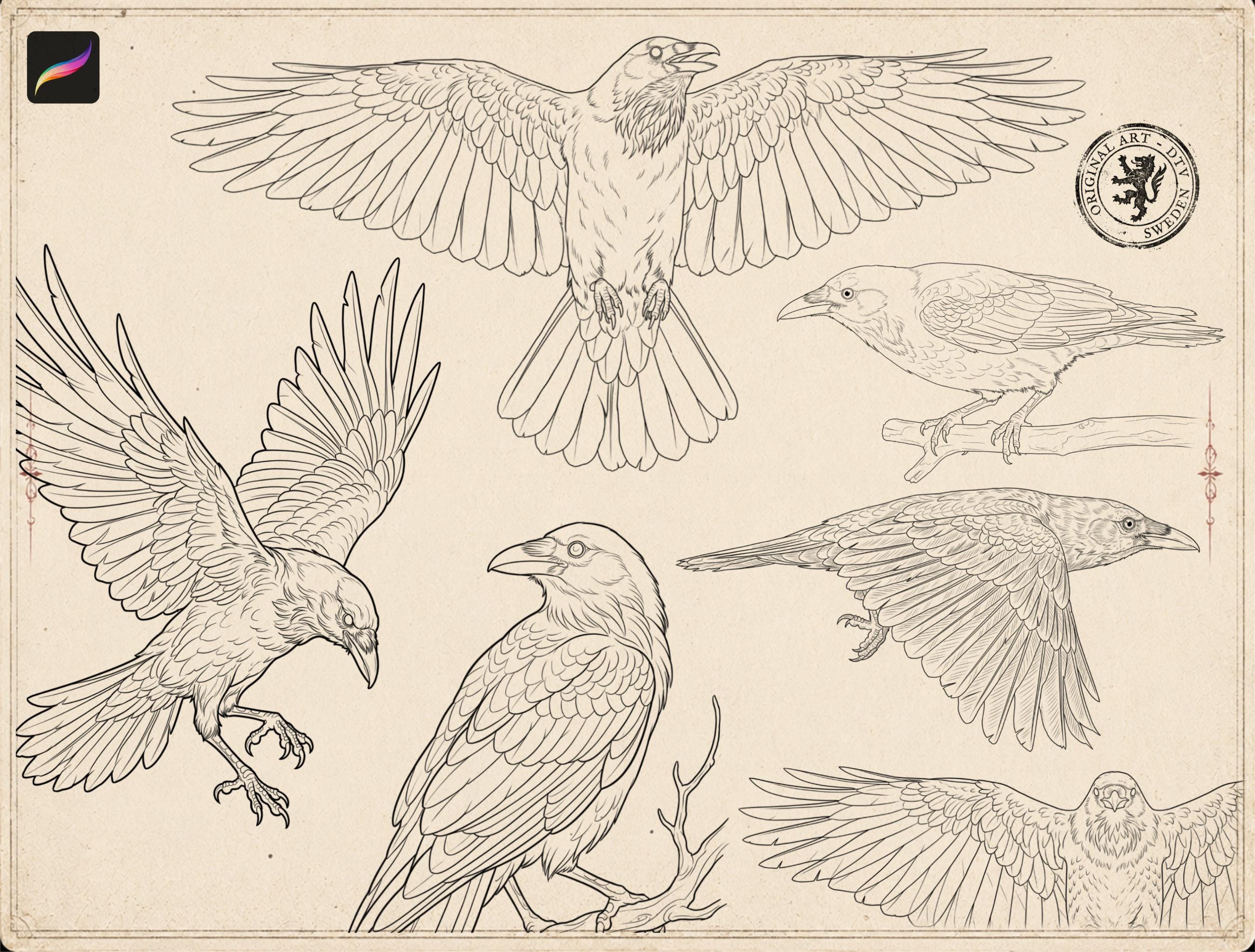 Raven Procreate Brushes, Bird Tattoo Stencils, 80+ Stamps Digital Download