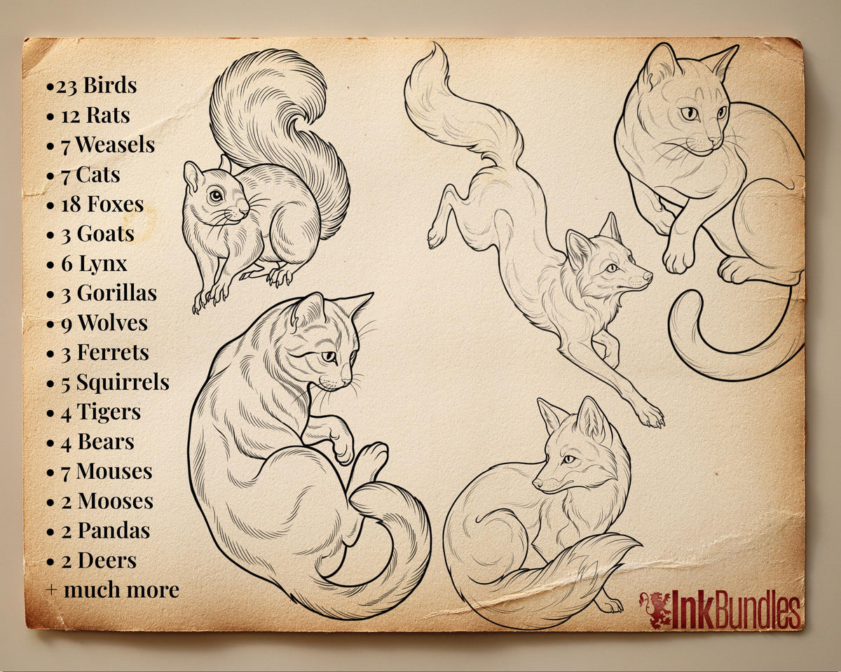Procreate Neo Traditional Animal Tattoo Design Reference Kit, Brushset & PNG, original stencils