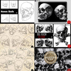 The skull project, 920 custom designs for Procreate
