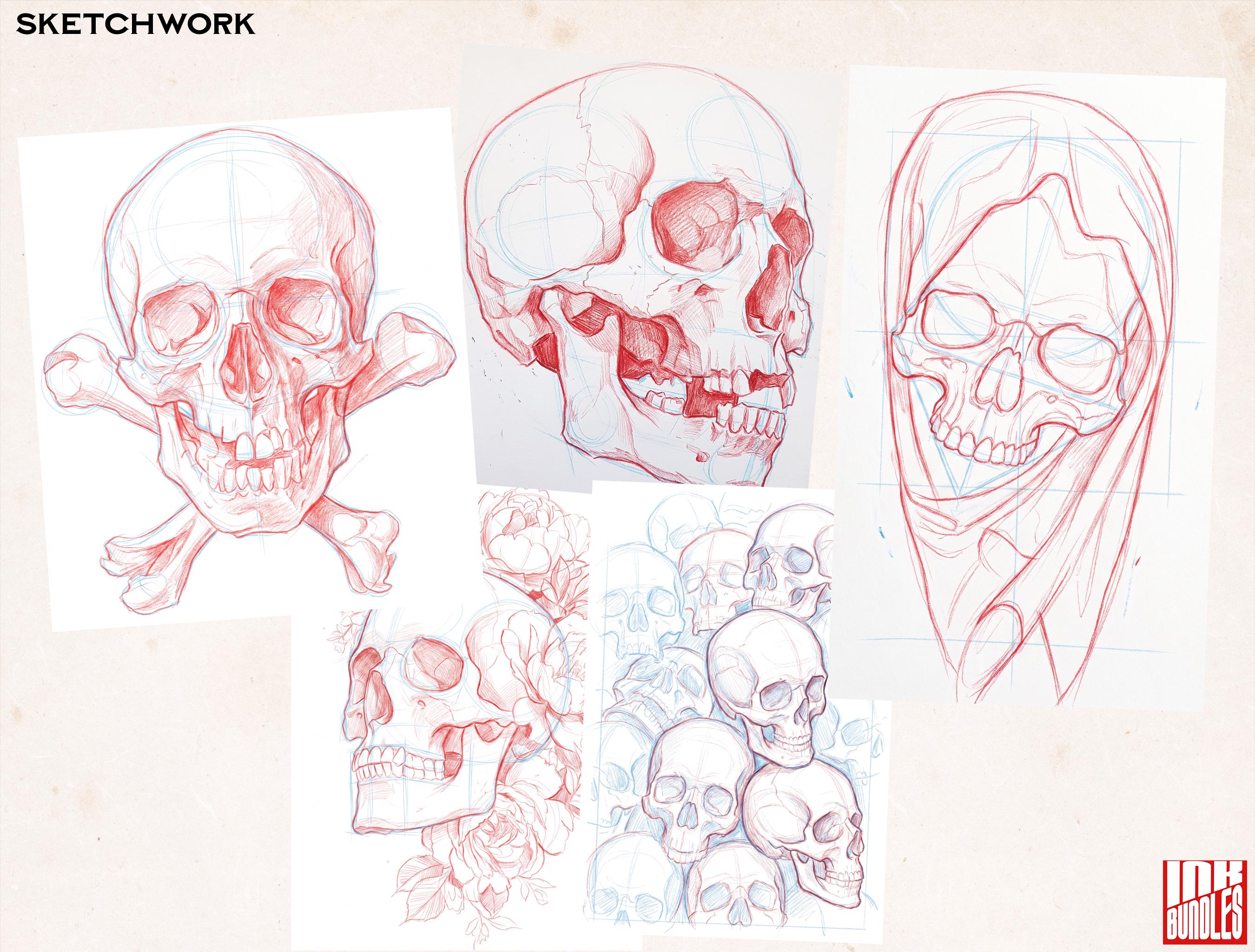 The skull project, 920 custom designs for Procreate
