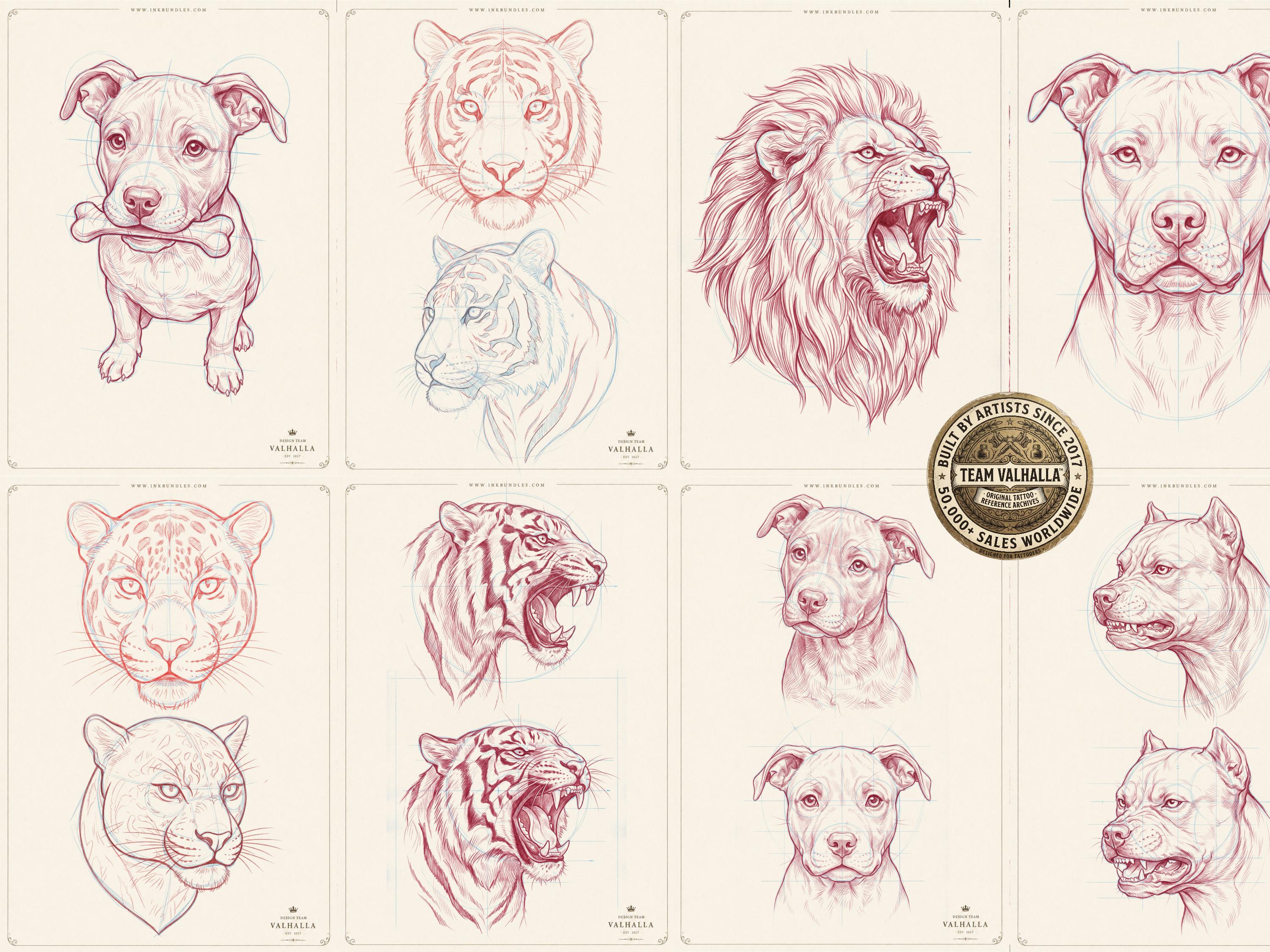 Sketch Library Animal Heads, 69 pages Animal portrait sketchbook
