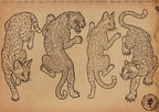 Traditional Felines – 170+ Procreate Brushes (Digital Download)