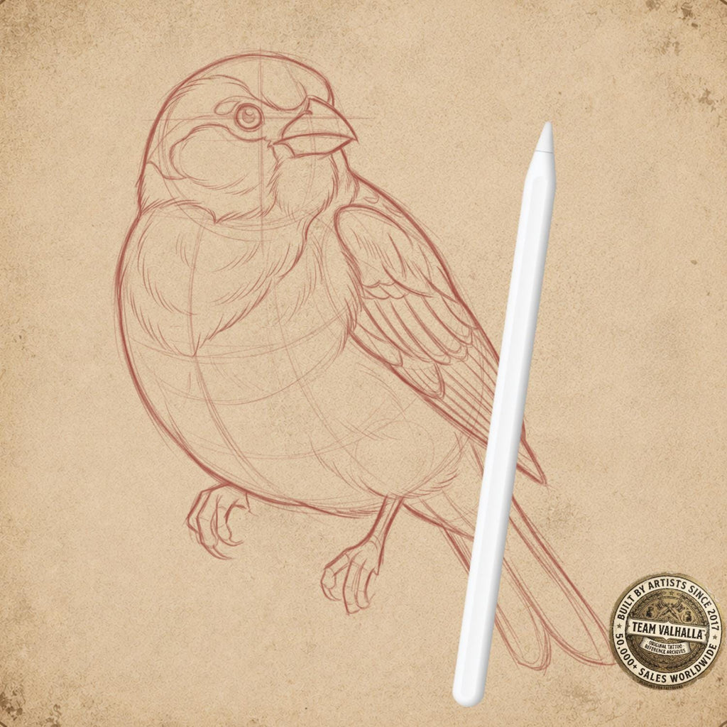 Procreate Tattoo Sketch Toolbox
