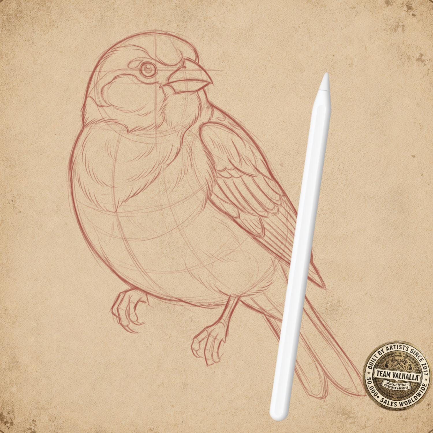 Procreate Tattoo Sketch Toolbox