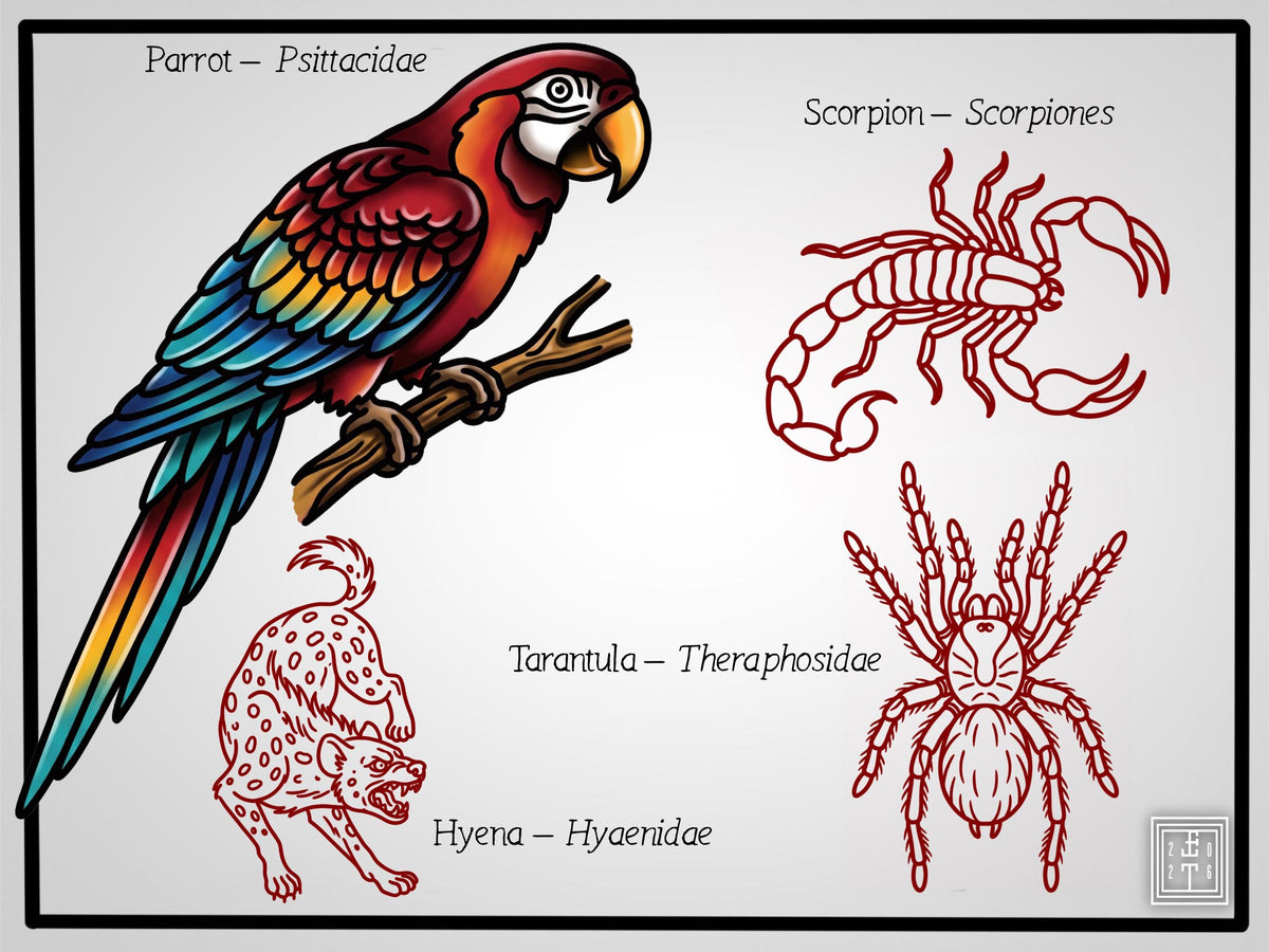 American Traditional Safari – 180+ Procreate Stamps, Tattoo Flash & Animal Designs