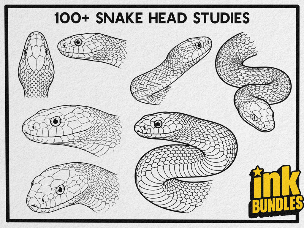 SCALED — Snake Studies for Tattoo Artists