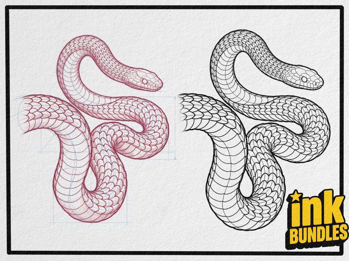 SCALED — Snake Studies for Tattoo Artists