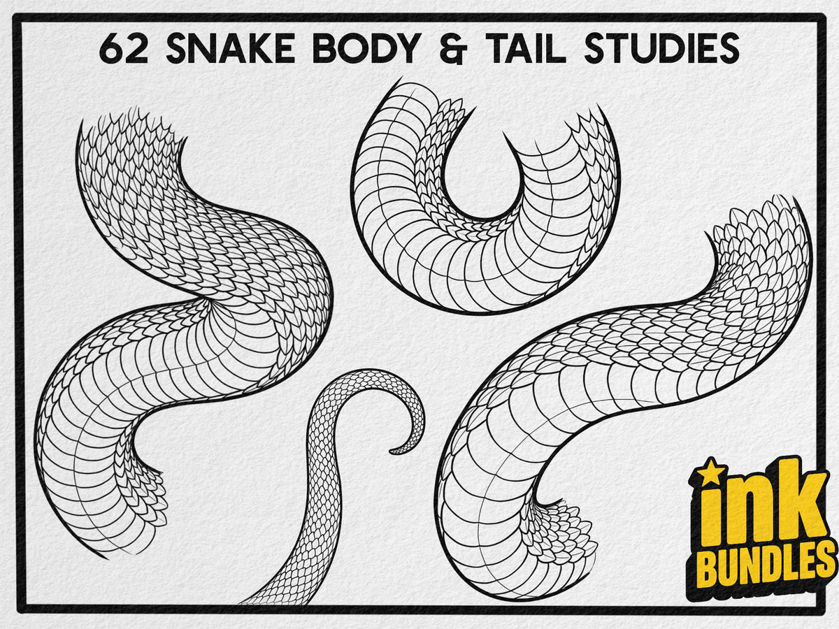SCALED — Snake Studies for Tattoo Artists