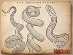 SCALED — Snake Studies for Tattoo Artists