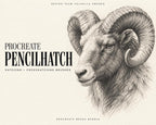 Pencil Hatch Artist – Procreate Brushes